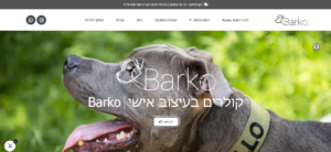 איך לבחור קולר לכלב? המדריך המלא לנוחות, בטיחות וסטייל